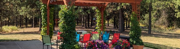 Outdoor seating area under a pergola with a table, chairs and plants